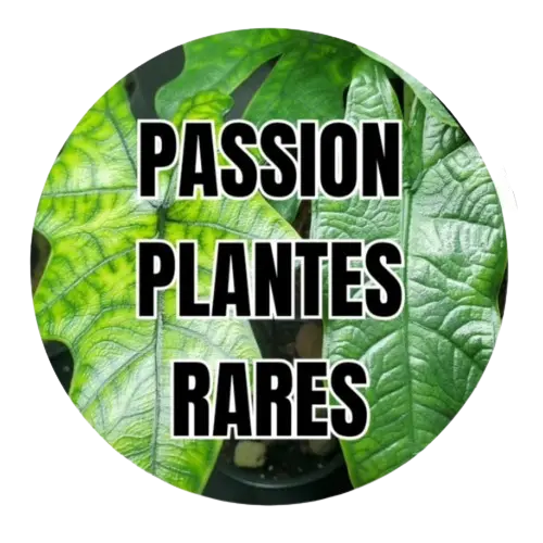 Passion Plantes Rares